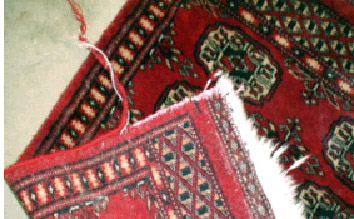 rug needing repair